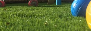 Artificial turf installed by Alpyne Grass